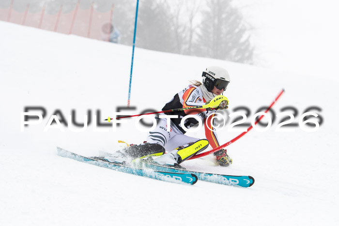 FIS Slalom Damen + Herren, 25.01.26