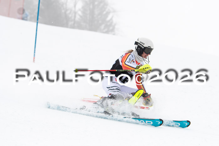 FIS Slalom Damen + Herren, 25.01.26