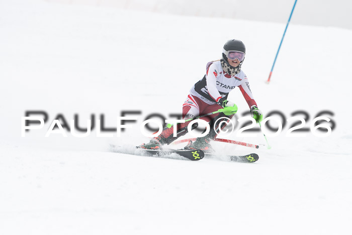 FIS Slalom Damen + Herren, 25.01.26