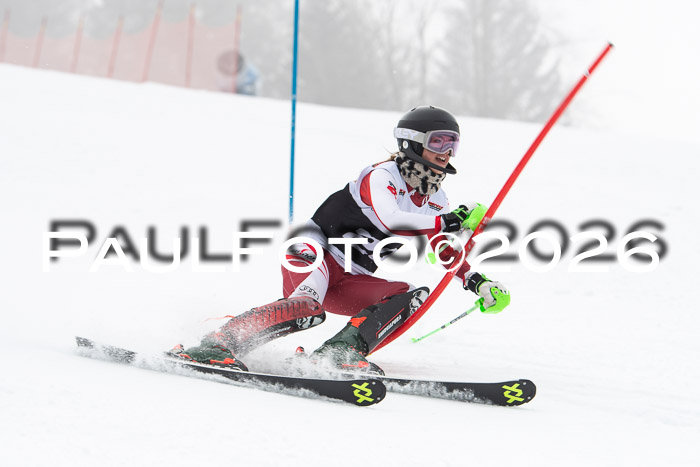 FIS Slalom Damen + Herren, 25.01.26