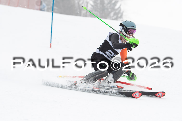FIS Slalom Damen + Herren, 25.01.26