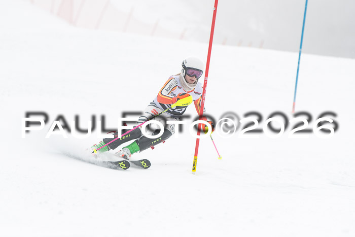 FIS Slalom Damen + Herren, 25.01.26