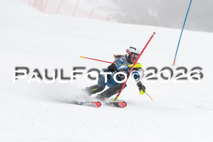 FIS Slalom Damen + Herren, 25.01.26