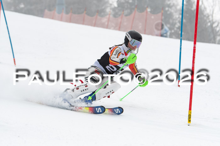 FIS Slalom Damen + Herren, 25.01.26