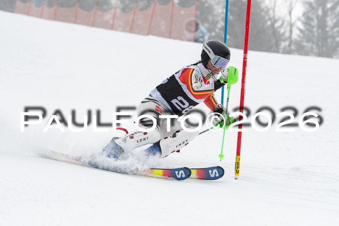 FIS Slalom Damen + Herren, 25.01.26