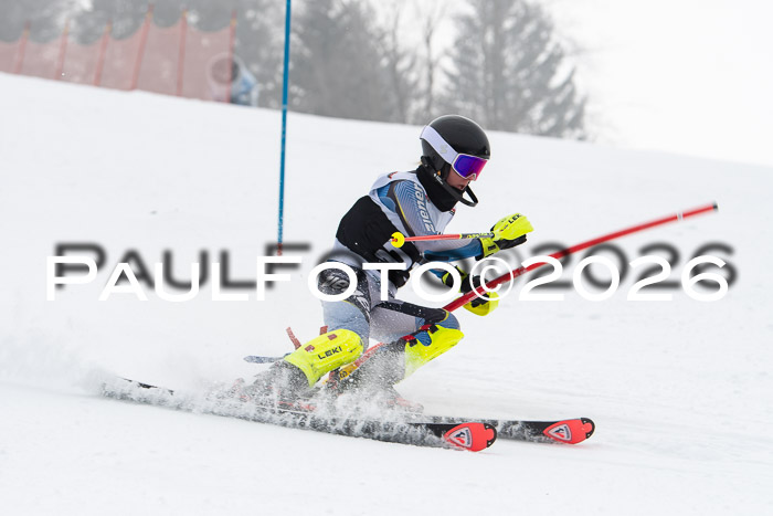 FIS Slalom Damen + Herren, 25.01.26