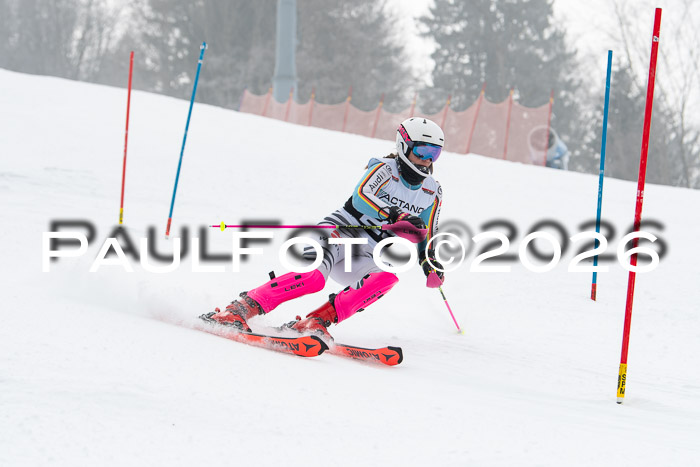 FIS Slalom Damen + Herren, 25.01.26