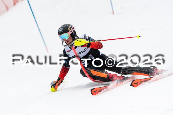 FIS Slalom Damen + Herren, 25.01.26