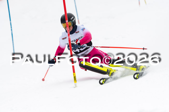 FIS Slalom Damen + Herren, 25.01.26