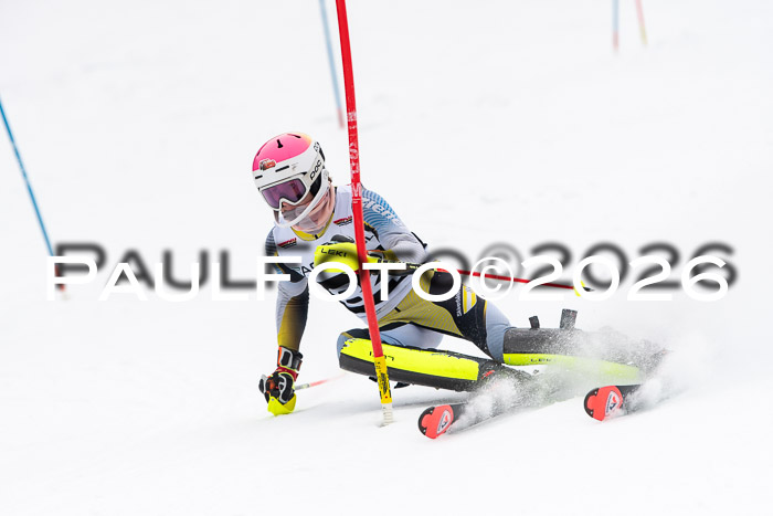 FIS Slalom Damen + Herren, 25.01.26