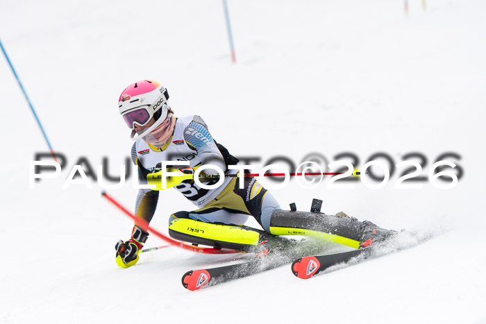 FIS Slalom Damen + Herren, 25.01.26