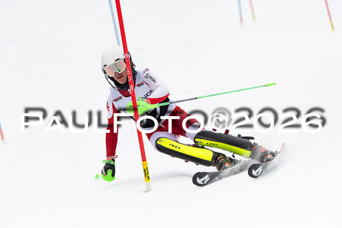 FIS Slalom Damen + Herren, 25.01.26