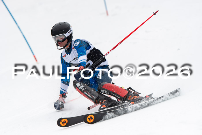 FIS Slalom Damen + Herren, 25.01.26