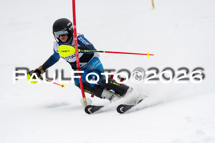 FIS Slalom Damen + Herren, 25.01.26