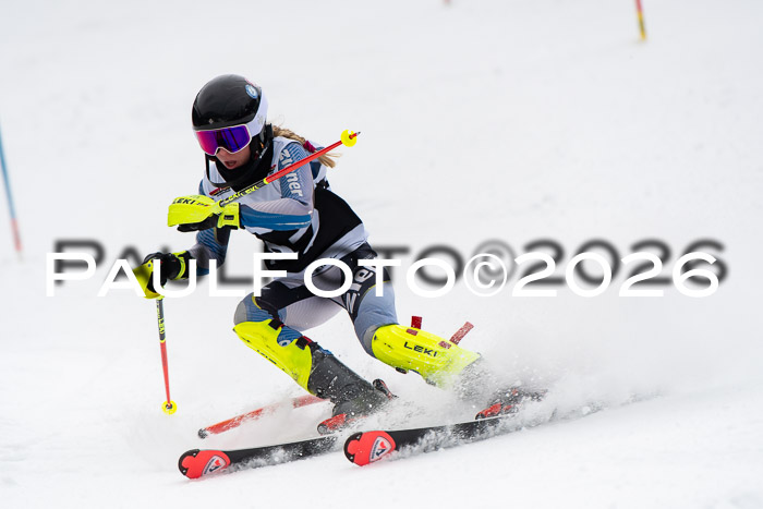 FIS Slalom Damen + Herren, 25.01.26