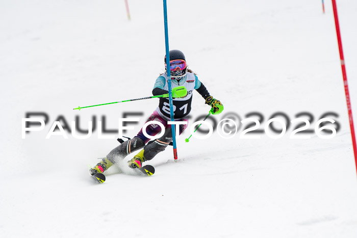 FIS Slalom Damen + Herren, 25.01.26