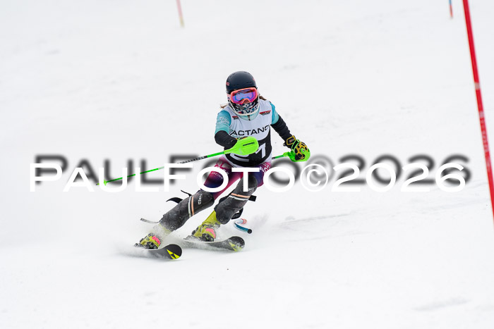 FIS Slalom Damen + Herren, 25.01.26