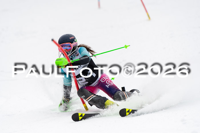 FIS Slalom Damen + Herren, 25.01.26