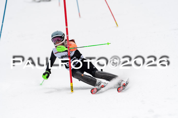 FIS Slalom Damen + Herren, 25.01.26