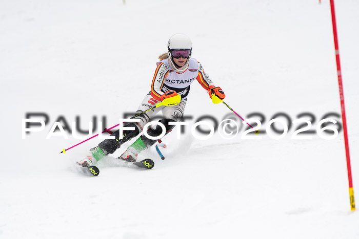 FIS Slalom Damen + Herren, 25.01.26