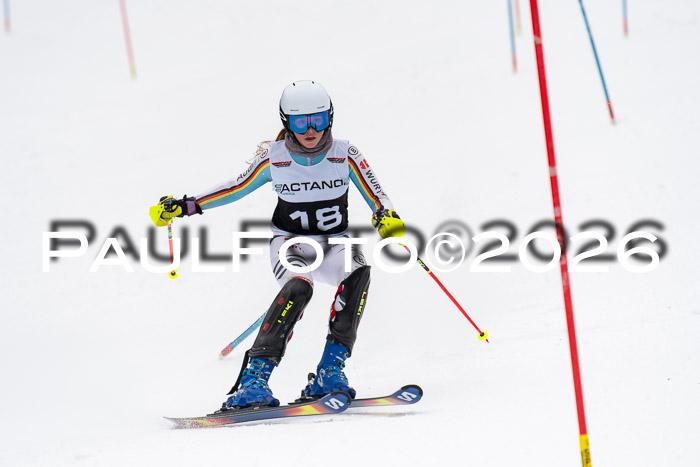 FIS Slalom Damen + Herren, 25.01.26