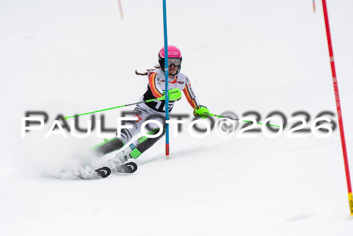 FIS Slalom Damen + Herren, 25.01.26