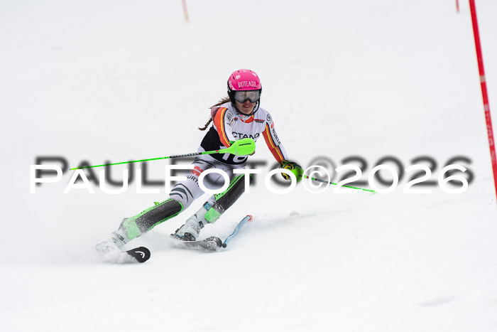 FIS Slalom Damen + Herren, 25.01.26
