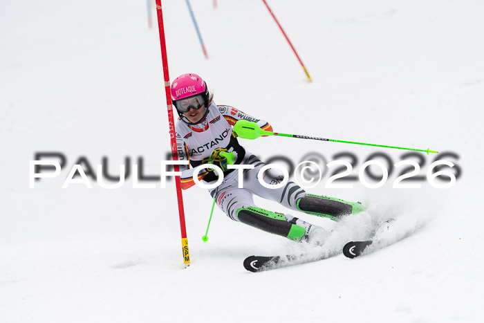 FIS Slalom Damen + Herren, 25.01.26