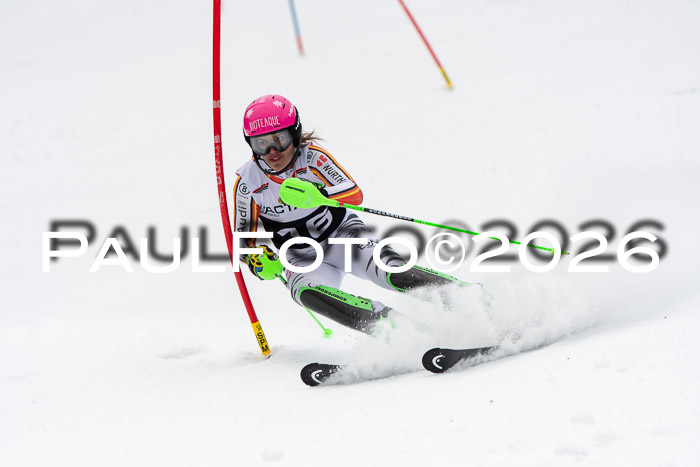 FIS Slalom Damen + Herren, 25.01.26