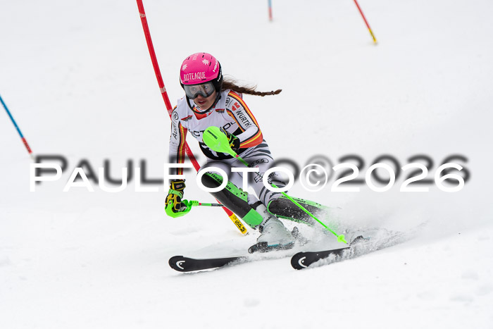 FIS Slalom Damen + Herren, 25.01.26