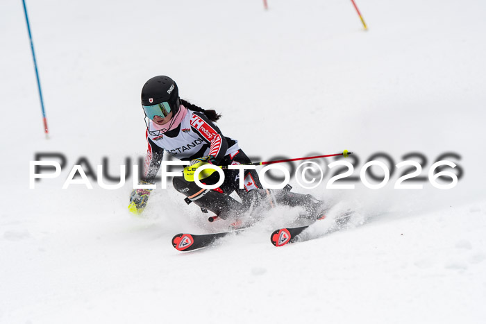 FIS Slalom Damen + Herren, 25.01.26