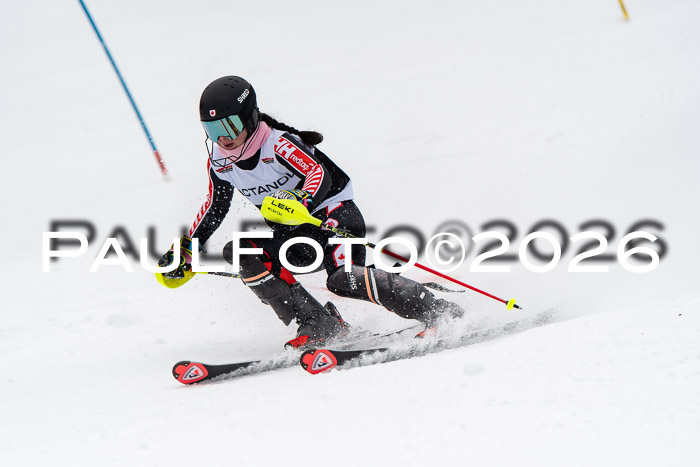 FIS Slalom Damen + Herren, 25.01.26