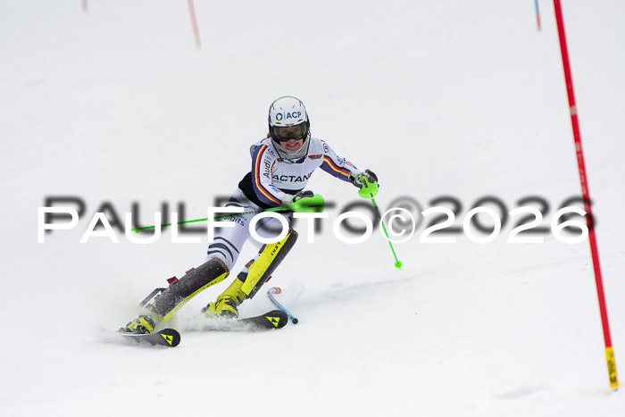 FIS Slalom Damen + Herren, 25.01.26