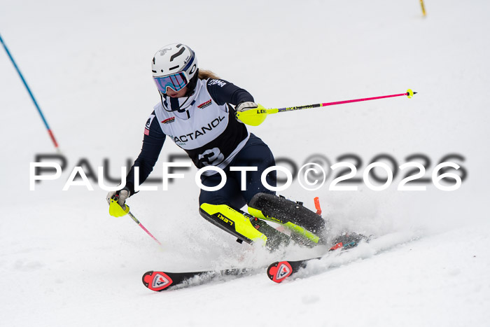 FIS Slalom Damen + Herren, 25.01.26
