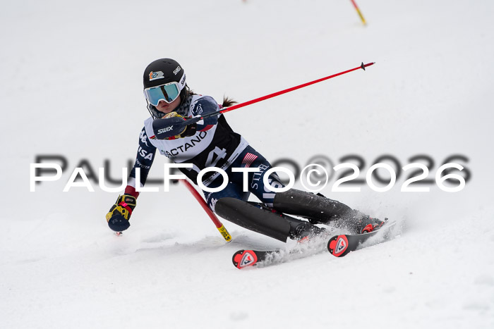 FIS Slalom Damen + Herren, 25.01.26