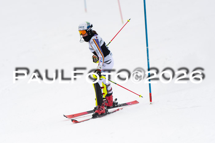 FIS Slalom Damen + Herren, 25.01.26