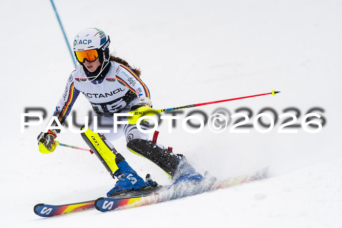 FIS Slalom Damen + Herren, 25.01.26