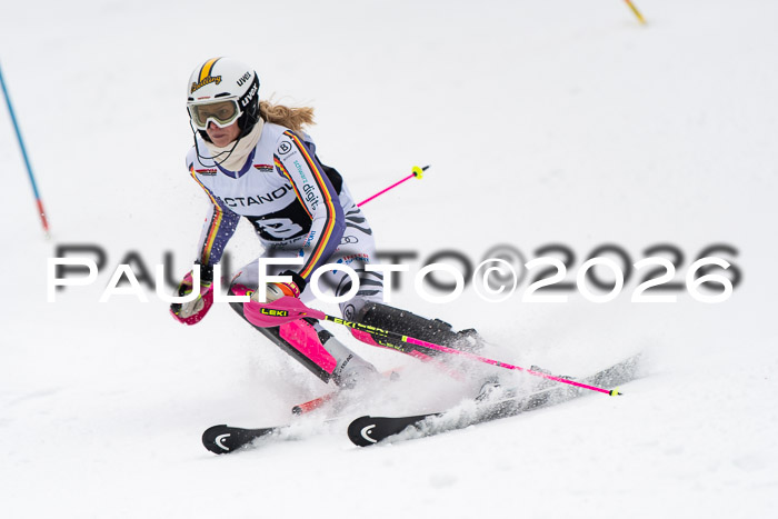 FIS Slalom Damen + Herren, 25.01.26