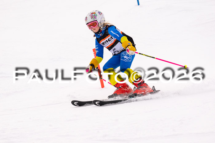 Ziener Cup 3 SL kühtai, 25.01.2026