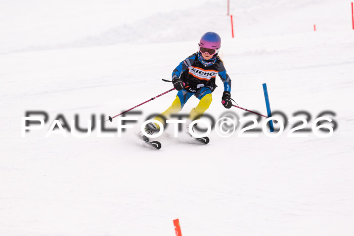 Ziener Cup 3 SL kühtai, 25.01.2026