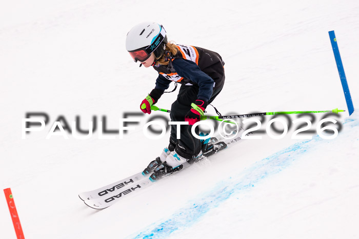 Ziener Cup 3 SL kühtai, 25.01.2026