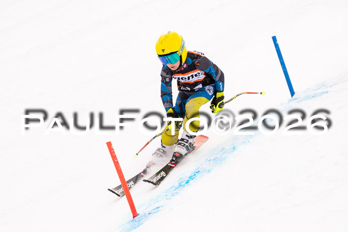 Ziener Cup 3 SL kühtai, 25.01.2026