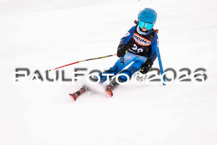 Ziener Cup 3 SL kühtai, 25.01.2026