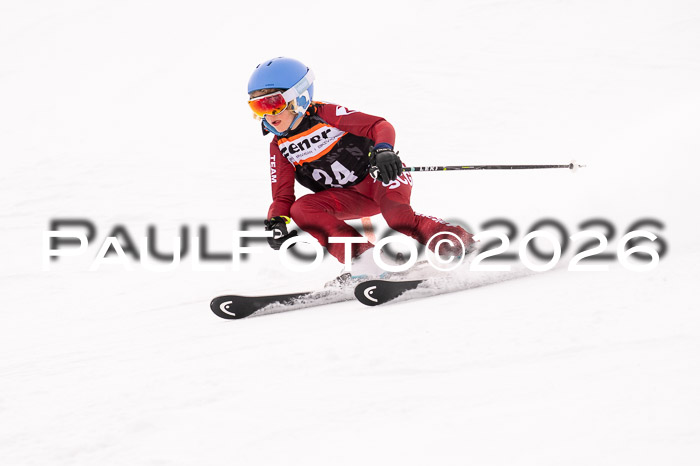 Ziener Cup 3 SL kühtai, 25.01.2026