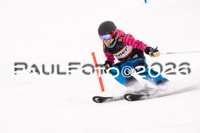 Ziener Cup 3 SL kühtai, 25.01.2026