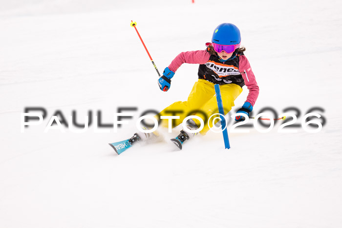 Ziener Cup 3 SL kühtai, 25.01.2026