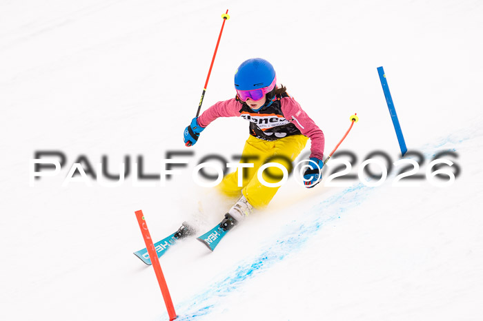 Ziener Cup 3 SL kühtai, 25.01.2026