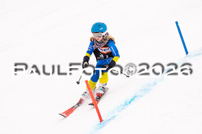 Ziener Cup 3 SL kühtai, 25.01.2026