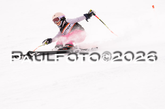 Ziener Cup 3 SL kühtai, 25.01.2026