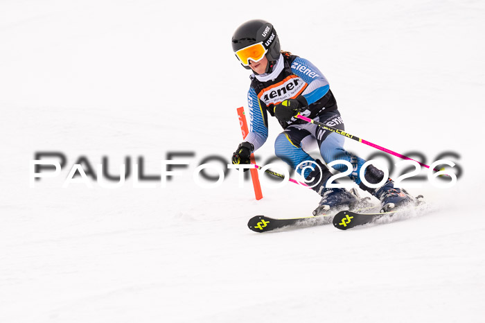 Ziener Cup 3 SL kühtai, 25.01.2026